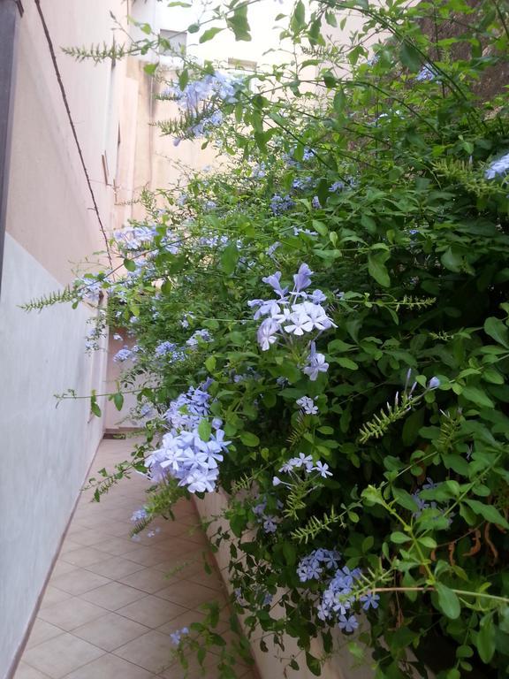 Soffio Di Provenza Apartment ปอซซัลโล ภายนอก รูปภาพ